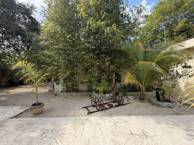 place photo 25
