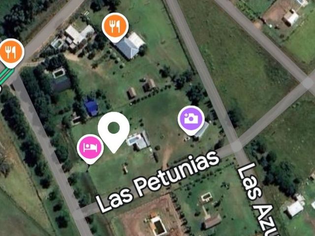 place photo 17