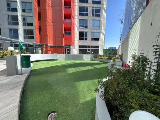place photo 23