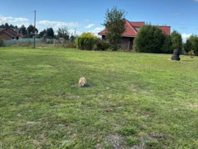 place photo 22