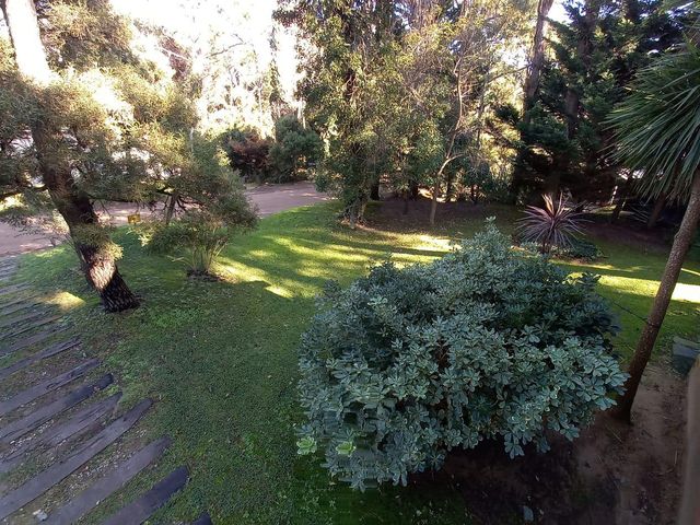 place photo 53