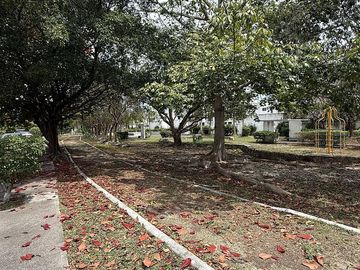 place photo 29