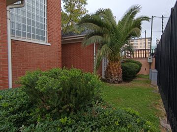 place photo 27