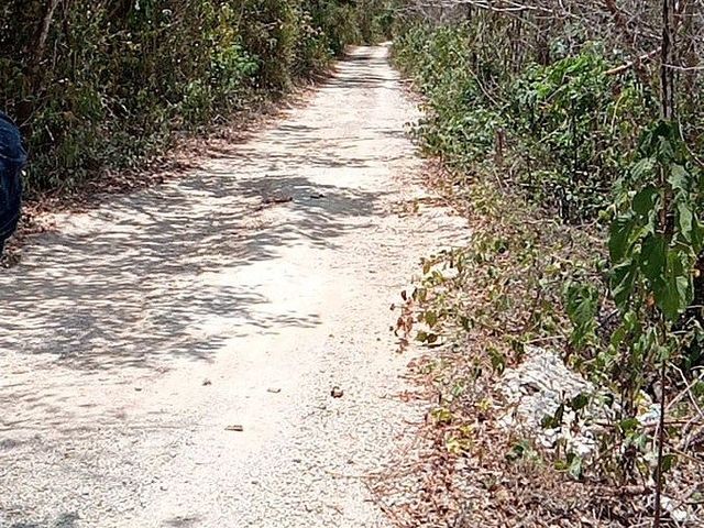place photo 6