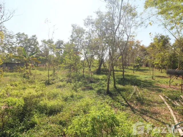 place photo 47