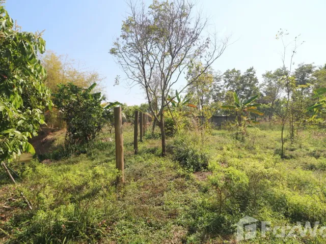 place photo 46