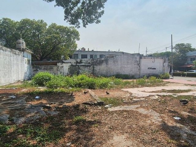 place photo 7