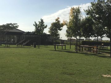 place photo 23