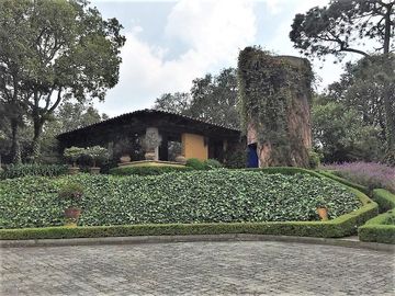 place photo 38