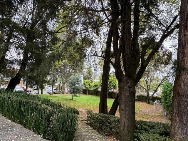 place photo 38