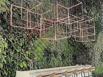 place photo 37