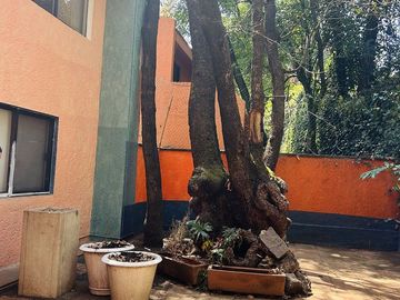 place photo 28