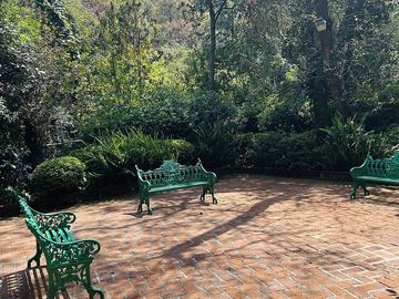 place photo 27