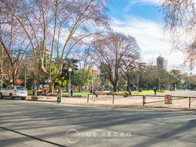 place photo 37
