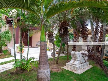 place photo 47