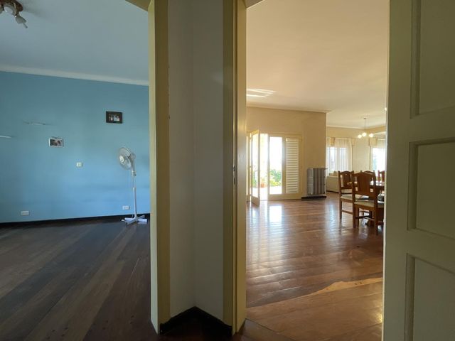 place photo 60