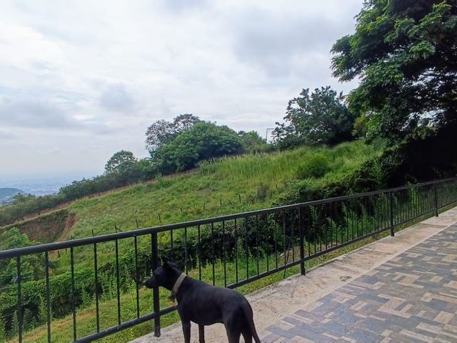 place photo 27