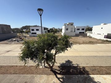 place photo 22