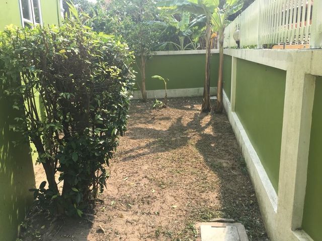 place photo 16