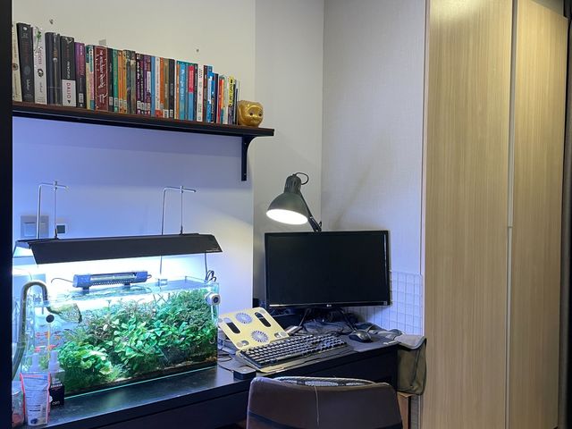 place photo 3
