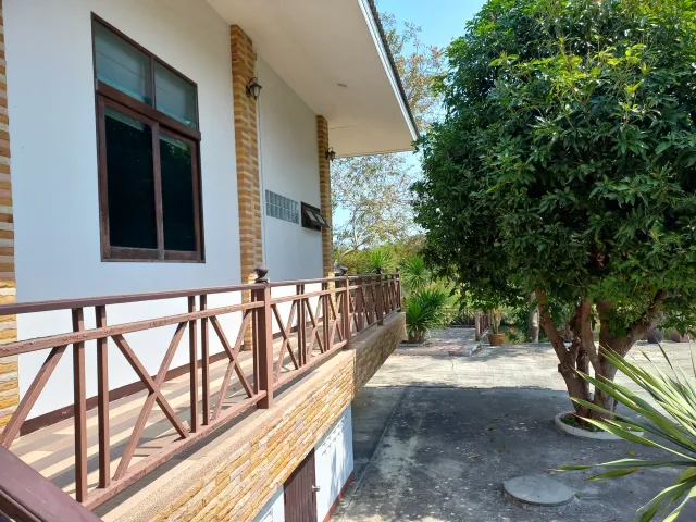 place photo 34