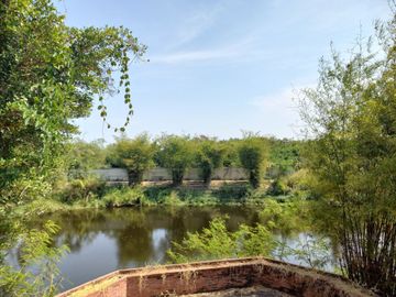 place photo 40