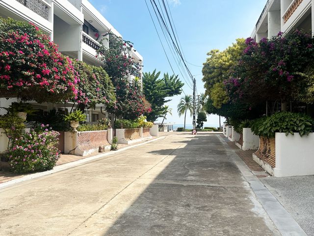 place photo 36