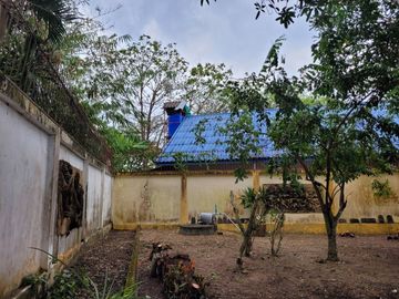 place photo 23