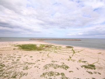 place photo 60