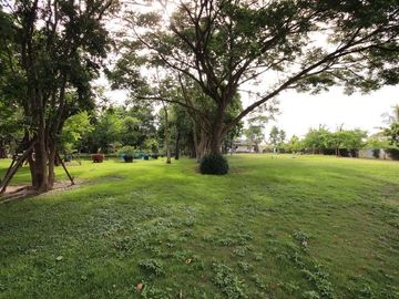 place photo 67
