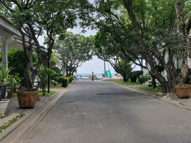 place photo 44