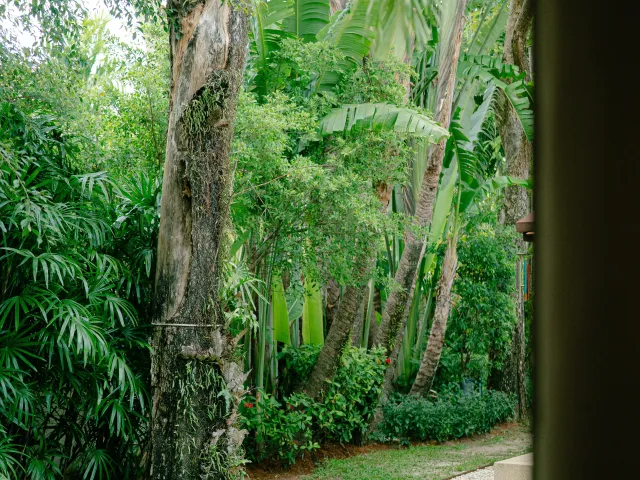 place photo 58