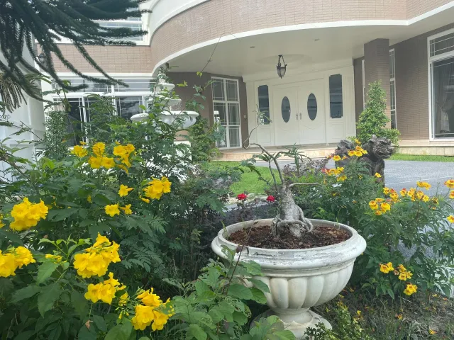 place photo 12