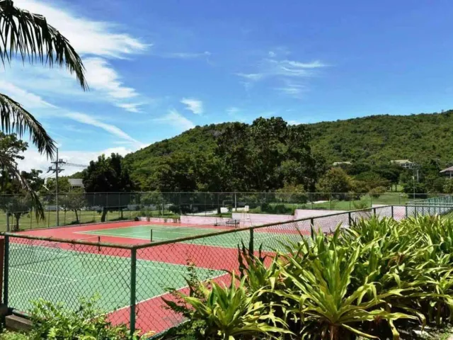 place photo 26