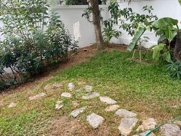 place photo 29