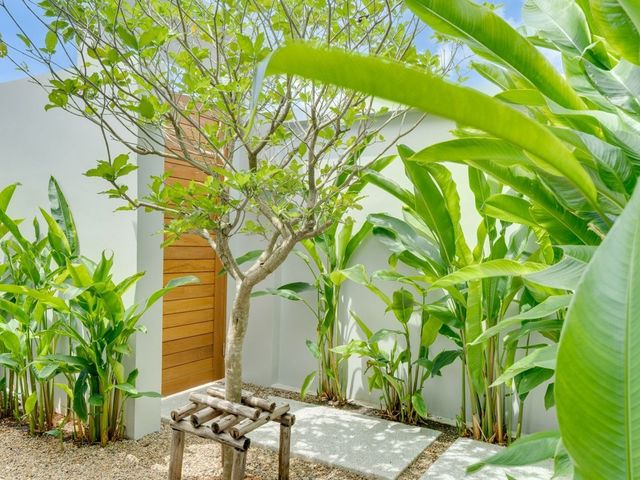place photo 61