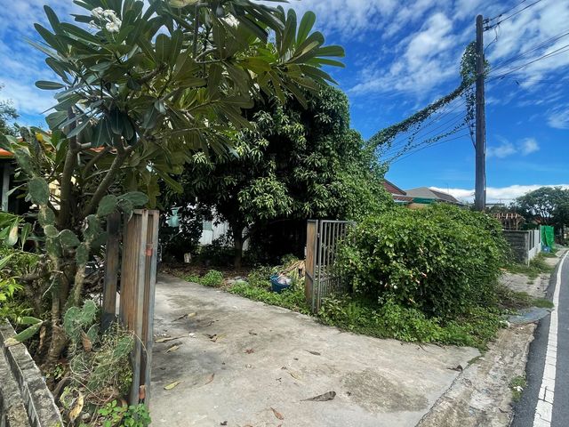 place photo 14