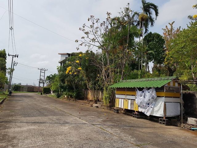 place photo 15