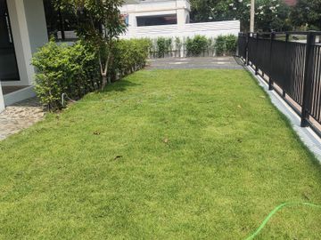 place photo 43