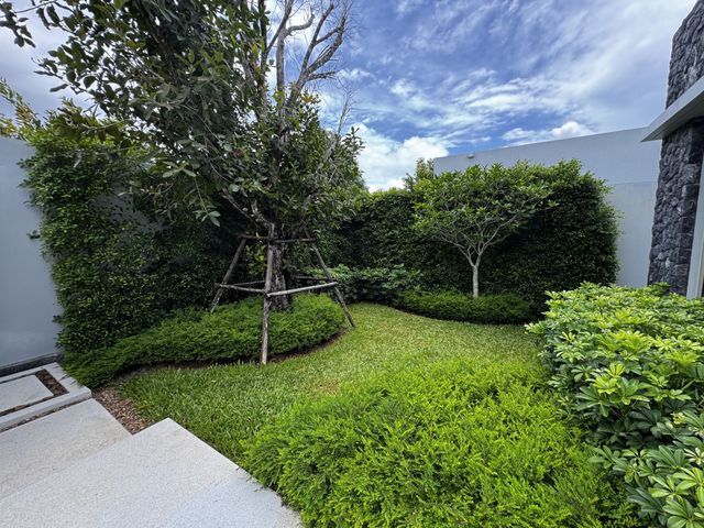 place photo 44