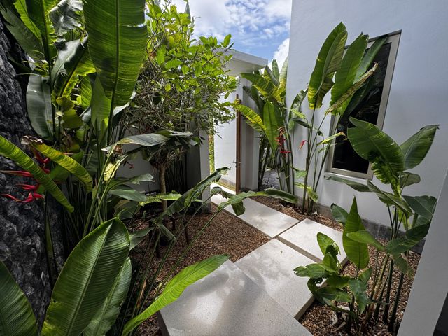 place photo 51