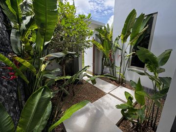 place photo 51