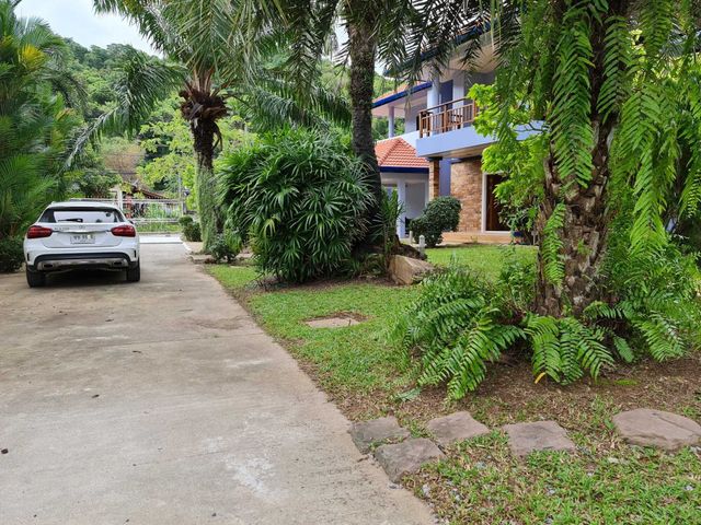 place photo 37