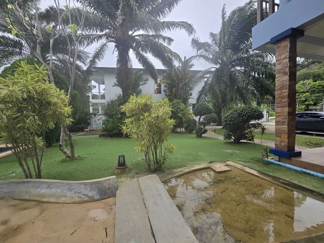 place photo 45