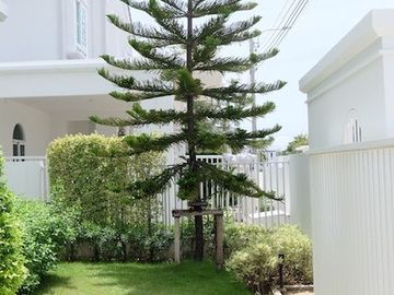 place photo 36