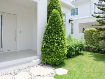 place photo 37