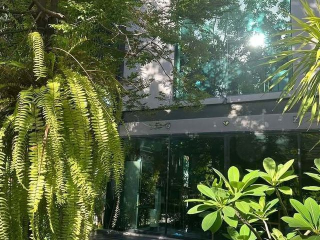 place photo 35