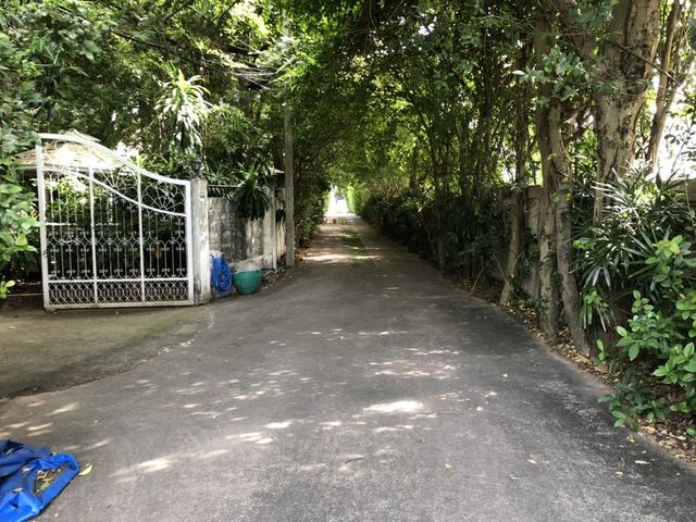 place photo 22