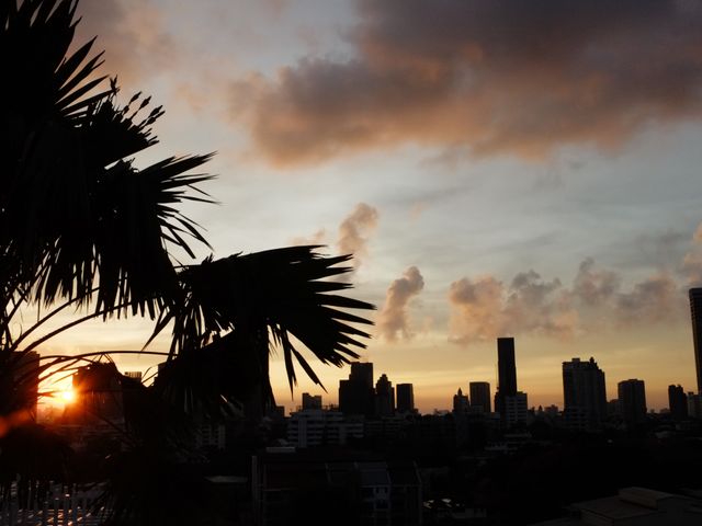 place photo 20
