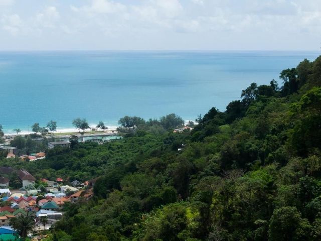 place photo 40